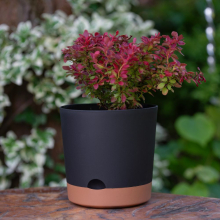 Doniczka z podstawką YUMO DUET 25cm czarna